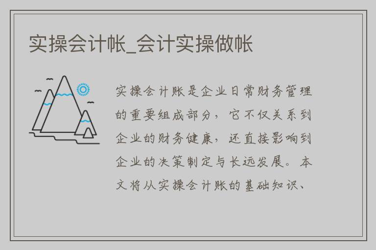 实操会计帐_会计实操做帐