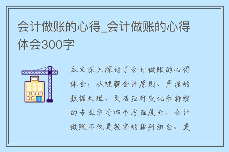 会计做账的心得_会计做账的心得体会300字