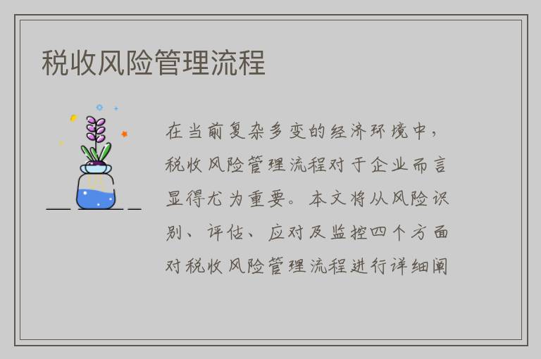 税收风险管理流程