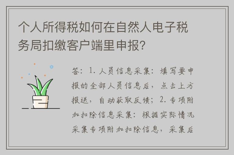 个人所得税如何在自然人电子税务局扣缴客户端里申报？
