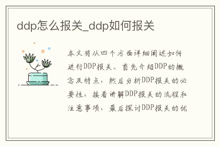 ddp怎么报关_ddp如何报关