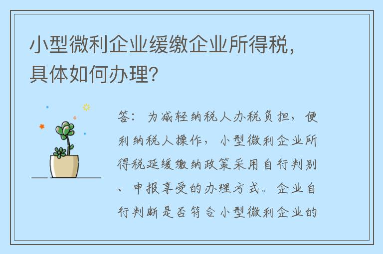 小型微利企业缓缴企业所得税，具体如何办理？