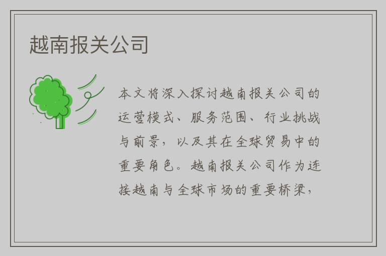越南报关公司