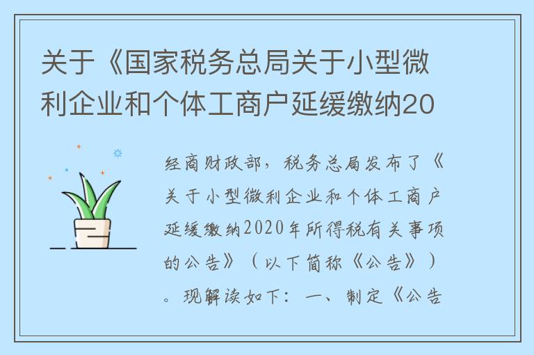 关于《国家税务总局关于小型微利企业和个体工商户延缓缴纳2020年所得税有关事项的公告》的政策解读