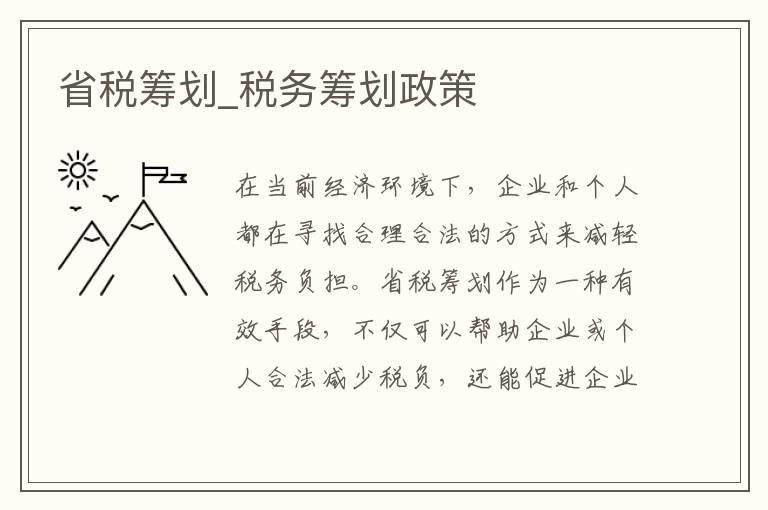 省税筹划_税务筹划政策