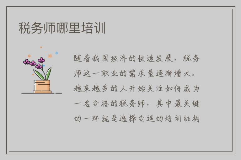 税务师哪里培训