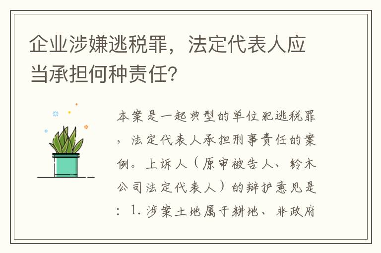 企业涉嫌逃税罪，法定代表人应当承担何种责任？