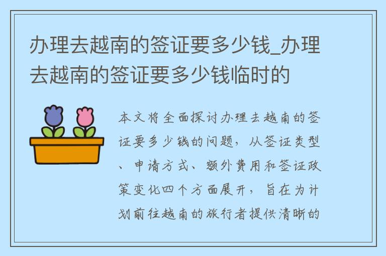 办理去越南的签证要多少钱_办理去越南的签证要多少钱临时的