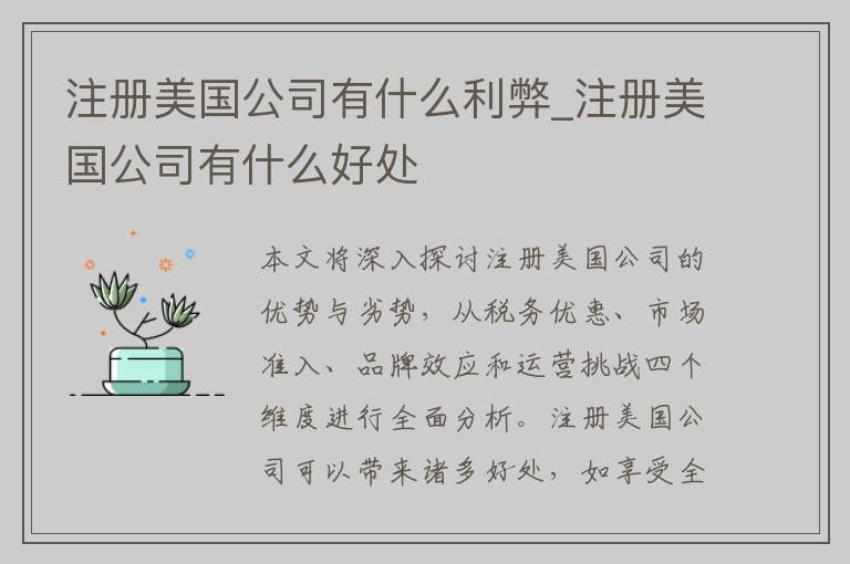 注册美国公司有什么利弊_注册美国公司有什么好处