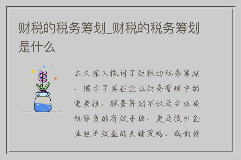 财税的税务筹划_财税的税务筹划是什么