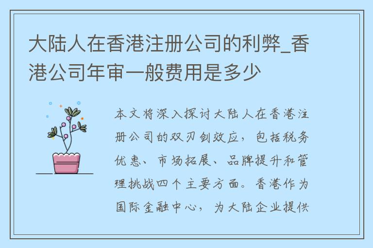 大陆人在香港注册公司的利弊_香港公司年审一般费用是多少