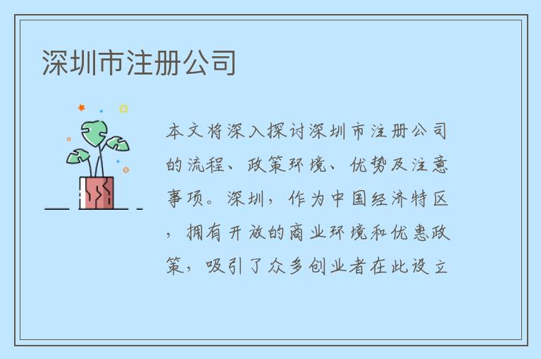 深圳市注册公司