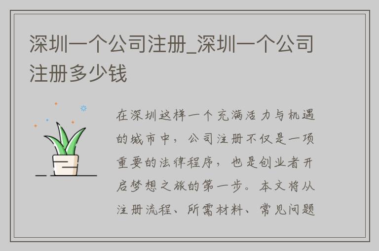 深圳一个公司注册_深圳一个公司注册多少钱