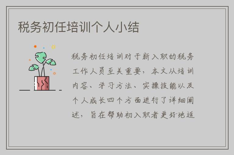 税务初任培训个人小结