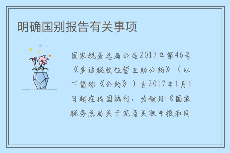 明确国别报告有关事项