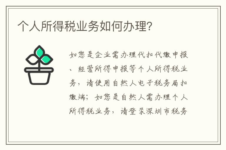 个人所得税业务如何办理？