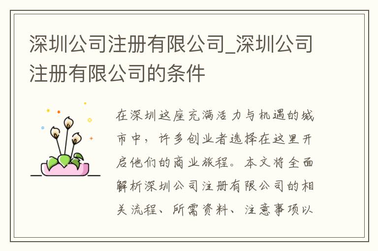 深圳公司注册有限公司_深圳公司注册有限公司的条件