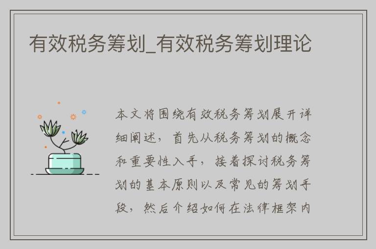 有效税务筹划_有效税务筹划理论