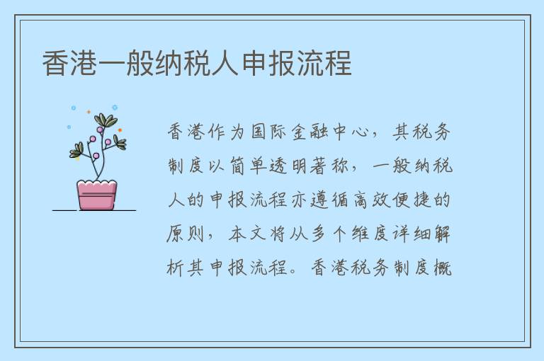 香港一般纳税人申报流程