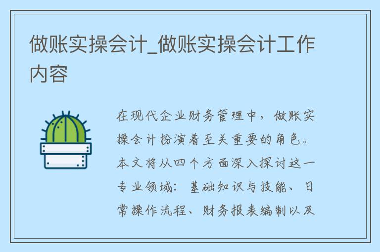 做账实操会计_做账实操会计工作内容