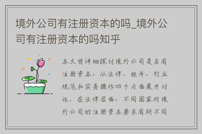 境外公司有注册资本的吗_境外公司有注册资本的吗知乎