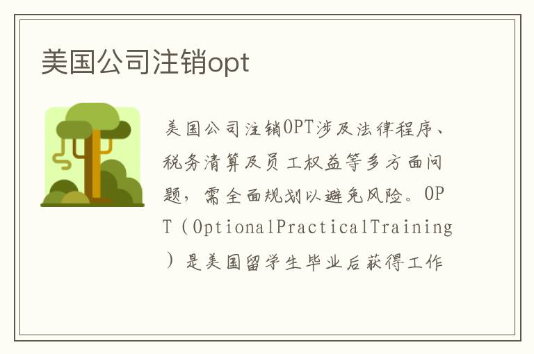 美国公司注销opt