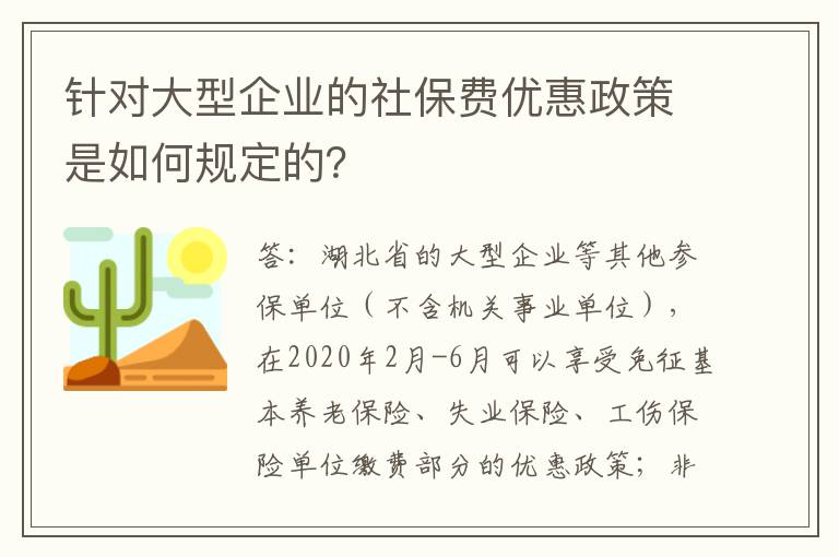 针对大型企业的社保费优惠政策是如何规定的？