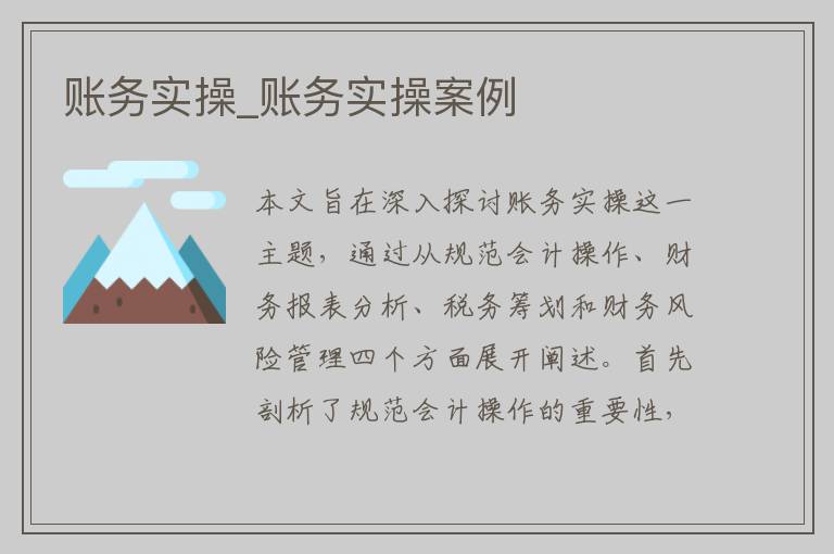 账务实操_账务实操案例